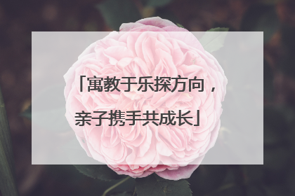 寓教于乐探方向，亲子携手共成长