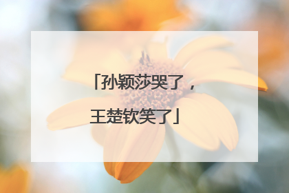 孙颖莎哭了，王楚钦笑了