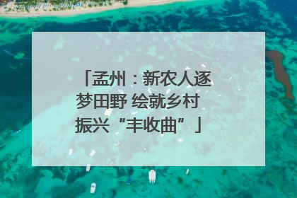 孟州：新农人逐梦田野 绘就乡村振兴“丰收曲”