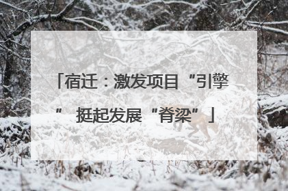宿迁：激发项目“引擎” 挺起发展“脊梁”