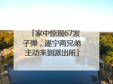 家中惊现67发子弹，遂宁两兄弟主动来到派出所