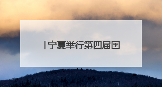 宁夏举行第四届国际友好城市论坛