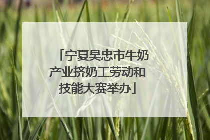 宁夏吴忠市牛奶产业挤奶工劳动和技能大赛举办