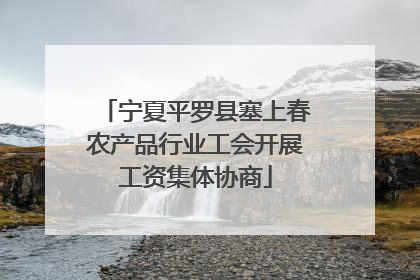 宁夏平罗县塞上春农产品行业工会开展工资集体协商