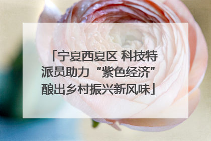 宁夏西夏区 科技特派员助力“紫色经济”酿出乡村振兴新风味