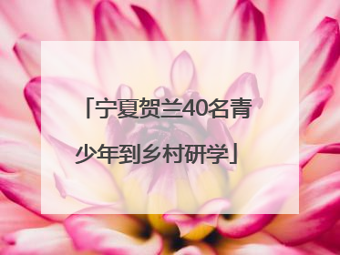 宁夏贺兰40名青少年到乡村研学