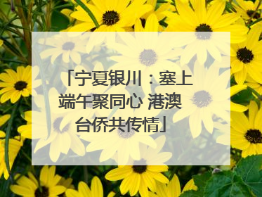 宁夏银川：塞上端午聚同心 港澳台侨共传情