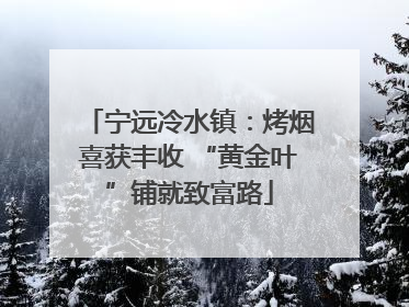 宁远冷水镇：烤烟喜获丰收 “黄金叶”铺就致富路