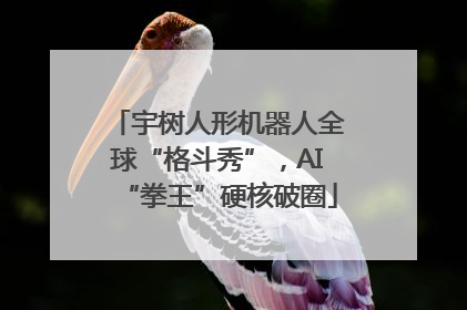 宇树人形机器人全球“格斗秀”，AI“拳王”硬核破圈