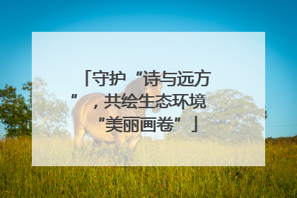 守护“诗与远方”，共绘生态环境“美丽画卷”