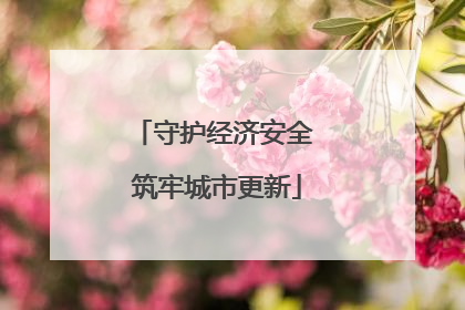 守护经济安全 筑牢城市更新