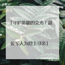 守护英雄的荣光！退役军人为烈士寻亲
