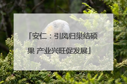 安仁：引凤归巢结硕果 产业兴旺促发展