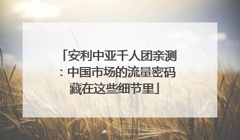 安利中亚千人团亲测：中国市场的流量密码 藏在这些细节里