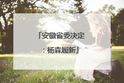 安徽省委决定：杨森履新