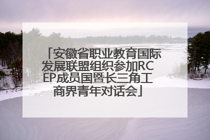 安徽省职业教育国际发展联盟组织参加RCEP成员国暨长三角工商界青年对话会