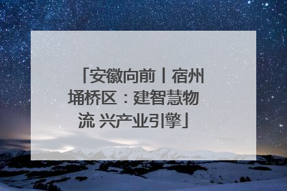 安徽向前丨宿州埇桥区：建智慧物流 兴产业引擎