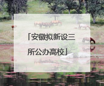 安徽拟新设三所公办高校