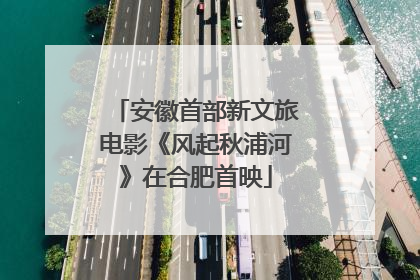 安徽首部新文旅电影《风起秋浦河》在合肥首映
