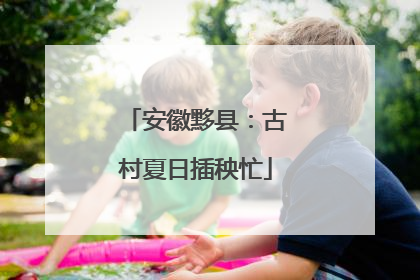 安徽黟县：古村夏日插秧忙