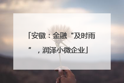 安徽：金融“及时雨”，润泽小微企业