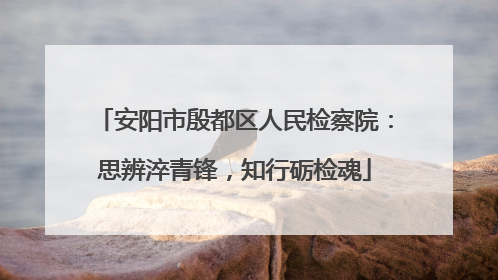 安阳市殷都区人民检察院：思辨淬青锋，知行砺检魂