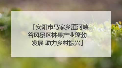 安阳市马家乡洹河峡谷风景区林果产业蓬勃发展 助力乡村振兴