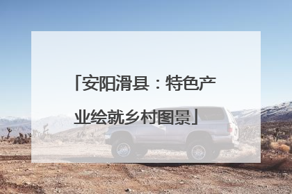 安阳滑县：特色产业绘就乡村图景