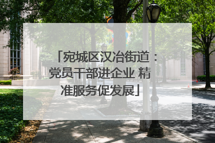 宛城区汉冶街道：党员干部进企业 精准服务促发展