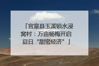 宜章县玉溪镇水浸窝村：万亩杨梅开启夏日“甜蜜经济”