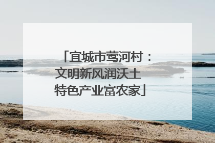 宜城市莺河村：文明新风润沃土 特色产业富农家
