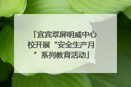 宜宾翠屏明威中心校开展“安全生产月”系列教育活动