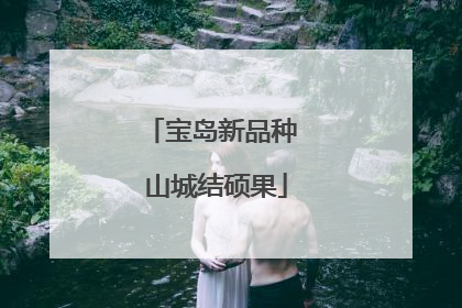 宝岛新品种 山城结硕果