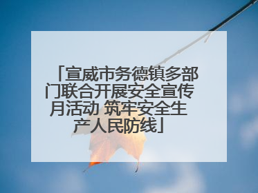 宣威市务德镇多部门联合开展安全宣传月活动 筑牢安全生产人民防线