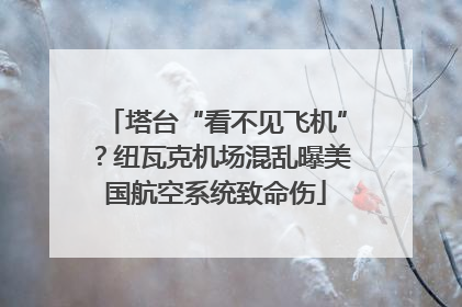 塔台“看不见飞机”？纽瓦克机场混乱曝美国航空系统致命伤