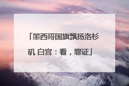 墨西哥国旗飘扬洛杉矶 白宫：看，罪证