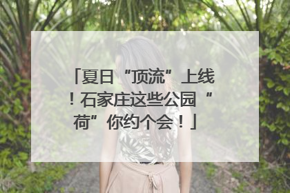 夏日“顶流”上线！石家庄这些公园“荷”你约个会！