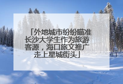 外地城市纷纷瞄准长沙大学生作为旅游客源，海口旅文推广走上星城街头