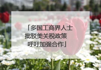 多国工商界人士批驳美关税政策 呼吁加强合作
