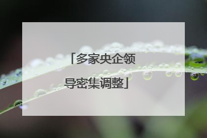 多家央企领导密集调整