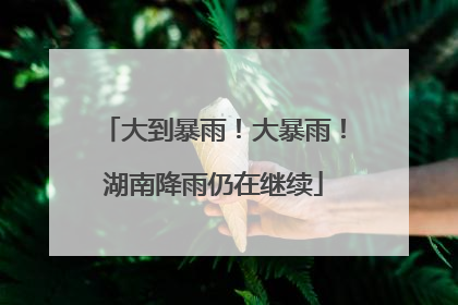 大到暴雨！大暴雨！湖南降雨仍在继续