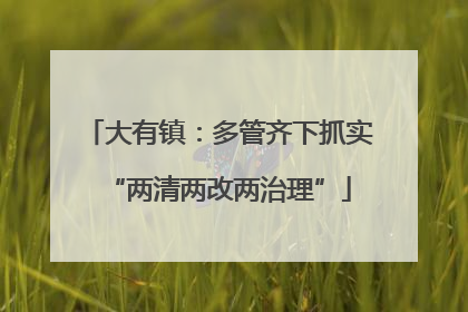 大有镇：多管齐下抓实“两清两改两治理”