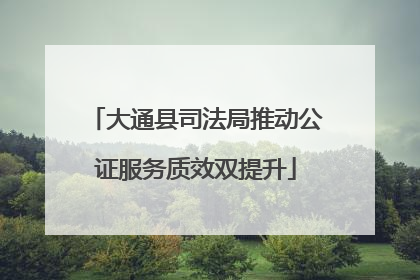 大通县司法局推动公证服务质效双提升