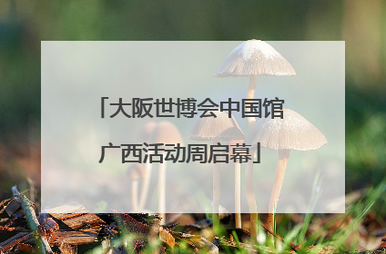 大阪世博会中国馆广西活动周启幕