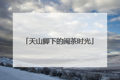 天山脚下的闽茶时光