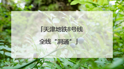 天津地铁8号线全线“洞通”