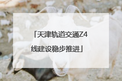 天津轨道交通Z4线建设稳步推进