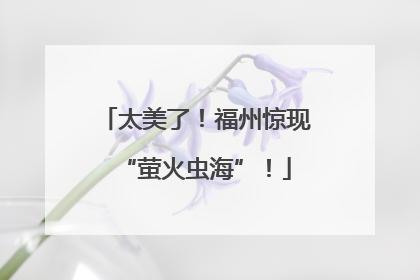 太美了！福州惊现“萤火虫海”！