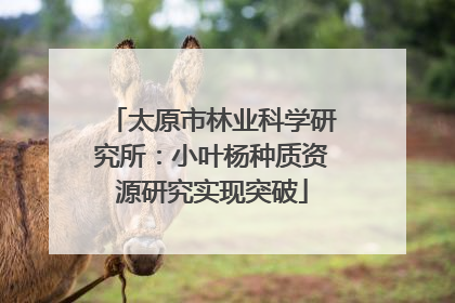 太原市林业科学研究所：小叶杨种质资源研究实现突破