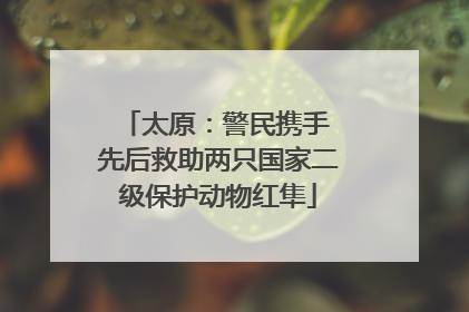 太原：警民携手 先后救助两只国家二级保护动物红隼